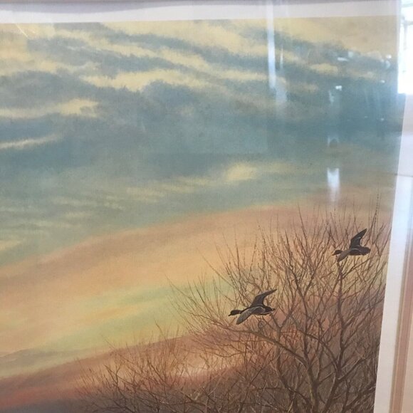 Wetlanders Herb Booth Ducks Unlimited 1991 Flyway Numbered Signed Framed Print - Picture 10 of 16